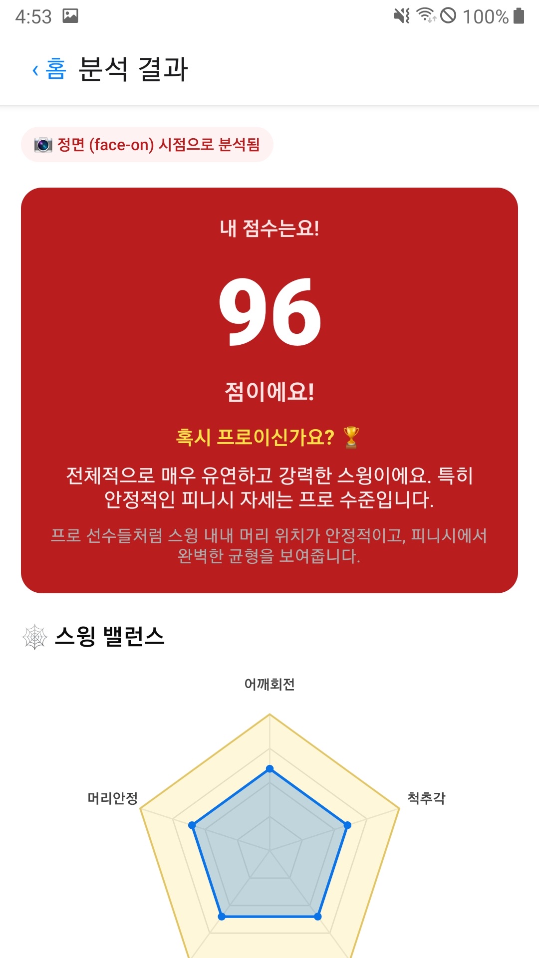 스윙코치 — 프로 비교